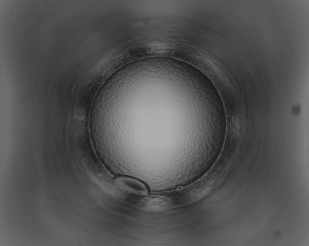 X0000091520557200708241652