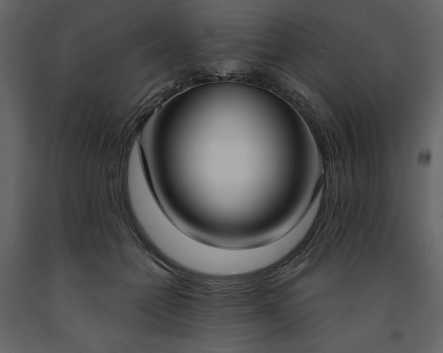 X0000091520558200708241652