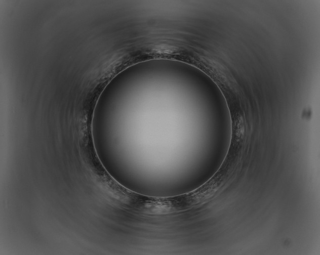 X0000091520559200708241652