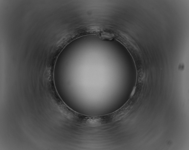 X0000091520560200708241652