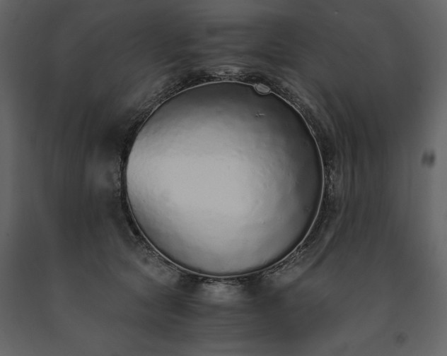 X0000091520561200708241652
