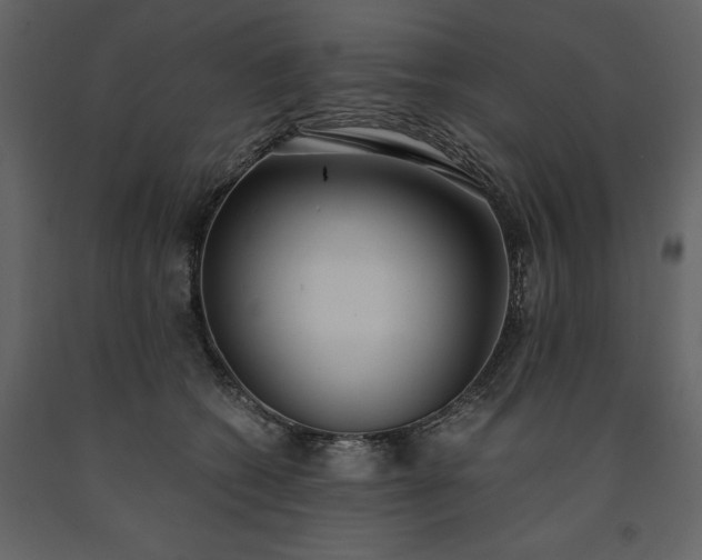 X0000091520562200708241652