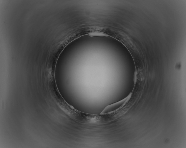 X0000091520564200708241652