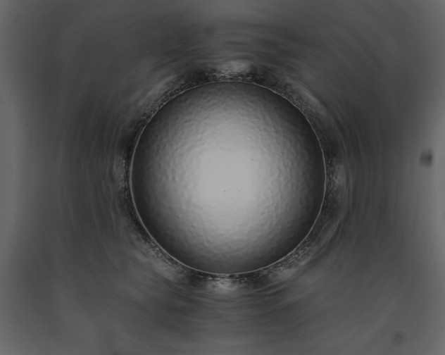 X0000091520565200708241652