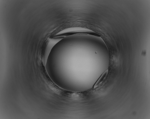 X0000091520566200708241652