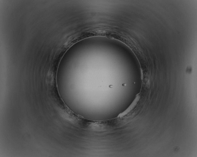 X0000091520568200708241652