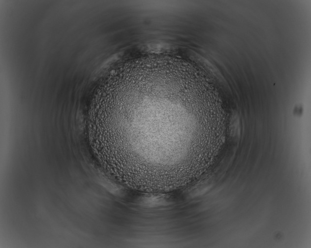 X0000091520569200708241652