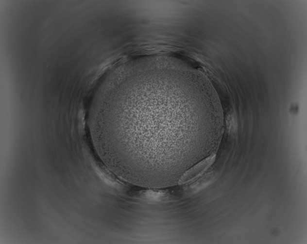 X0000091520570200708241652