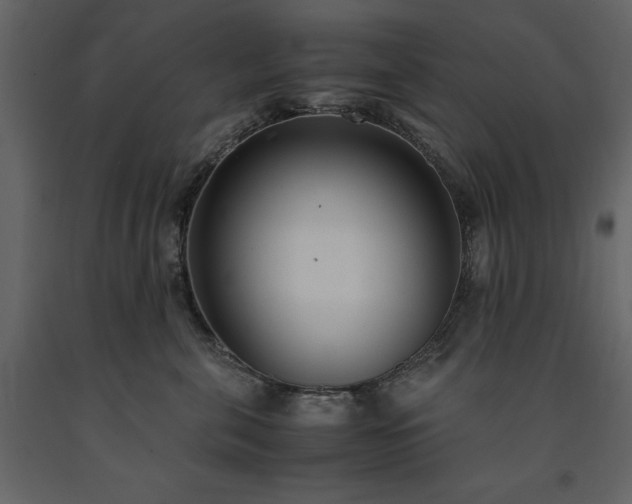 X0000091520571200708241652