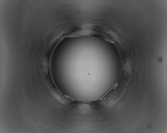 X0000091520572200708241652