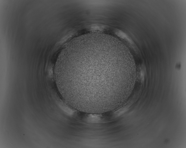 X0000091520573200708241652