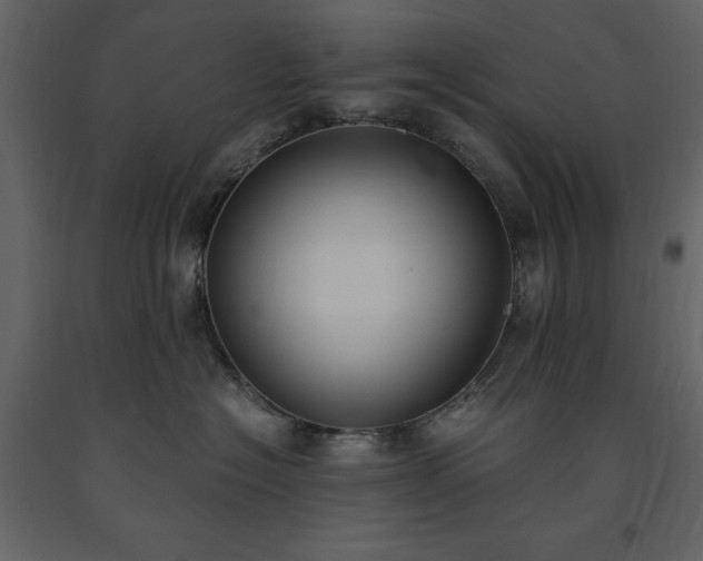 X0000091520574200708241652