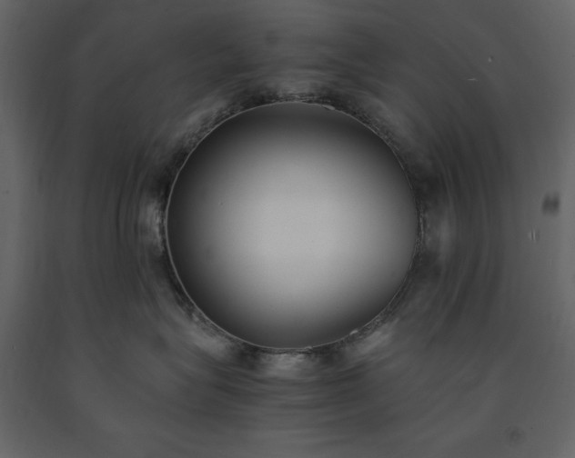 X0000091520575200708241652