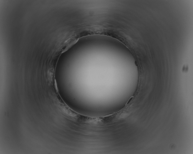 X0000091520576200708241652