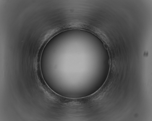 X0000091520578200708241652