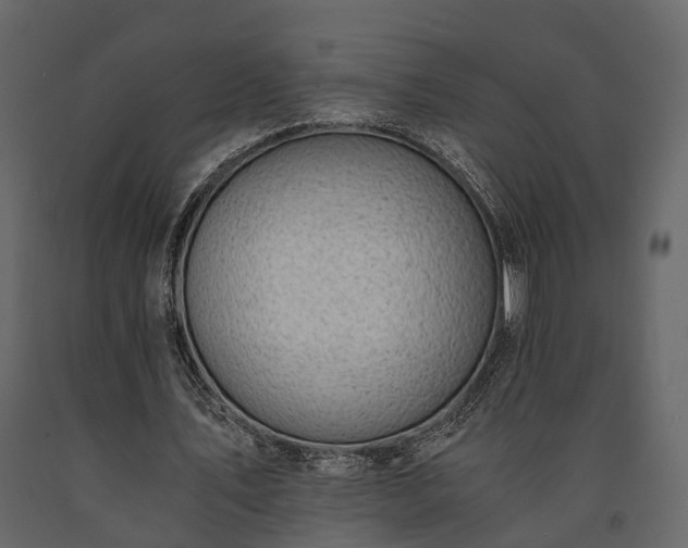 X0000091520579200708241652
