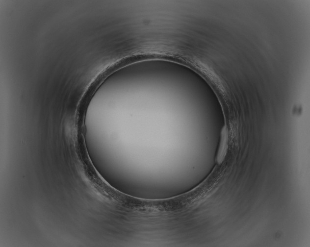 X0000091520580200708241652