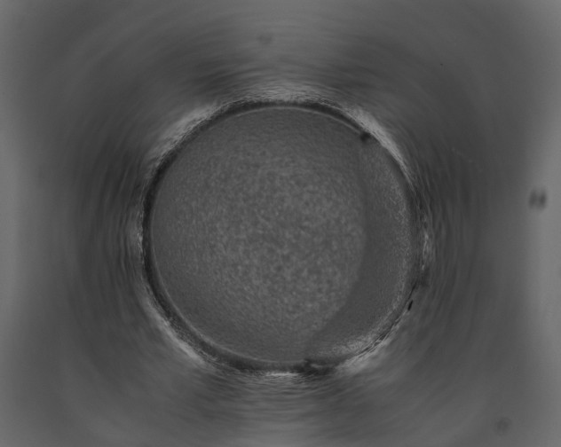 X0000091520581200708241652
