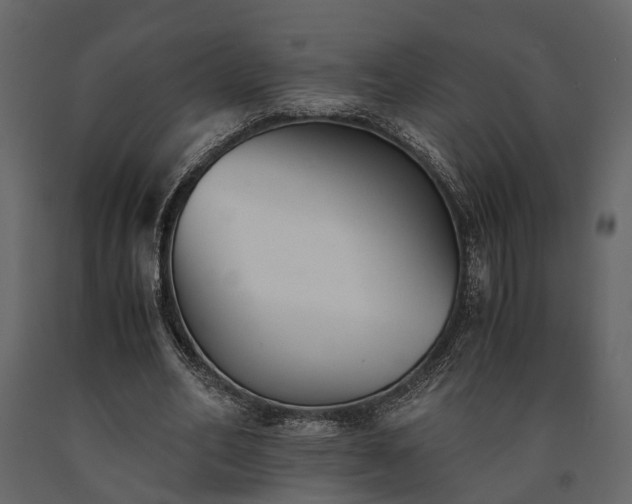 X0000091520582200708241652