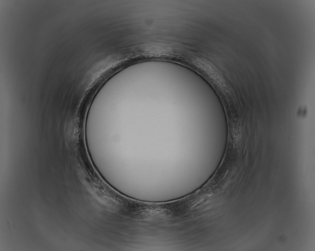 X0000091520583200708241652