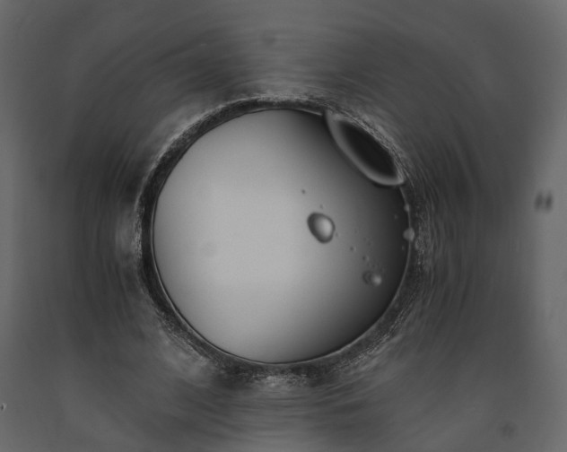 X0000091520584200708241652