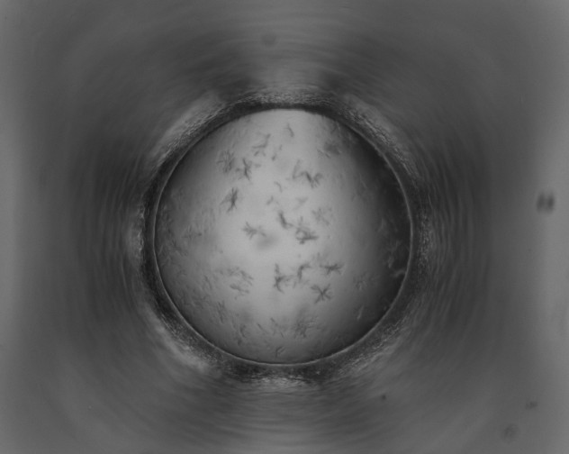X0000091520586200708241652