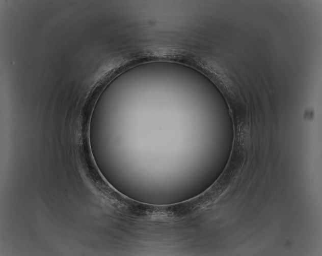X0000091520587200708241652