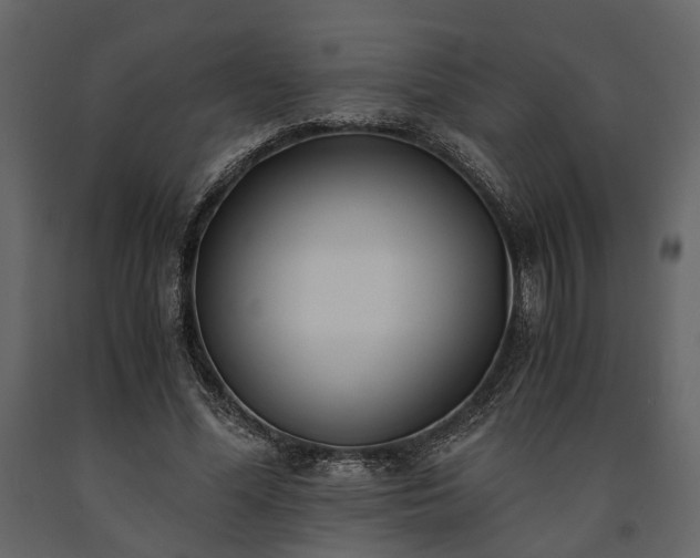 X0000091520588200708241652