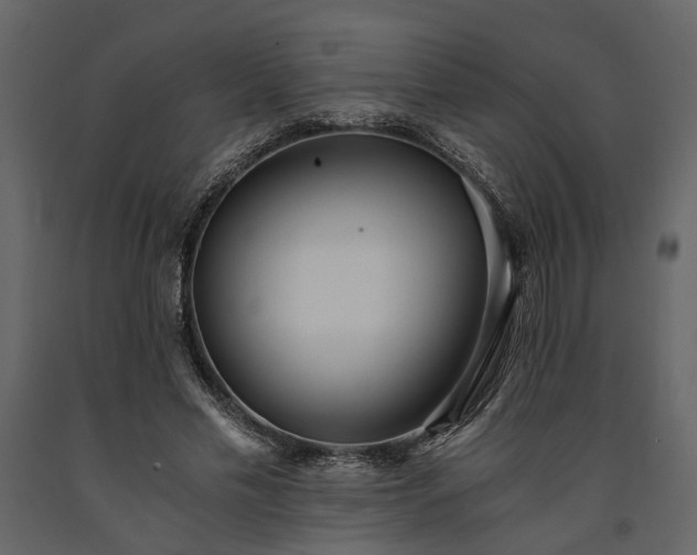 X0000091520589200708241652