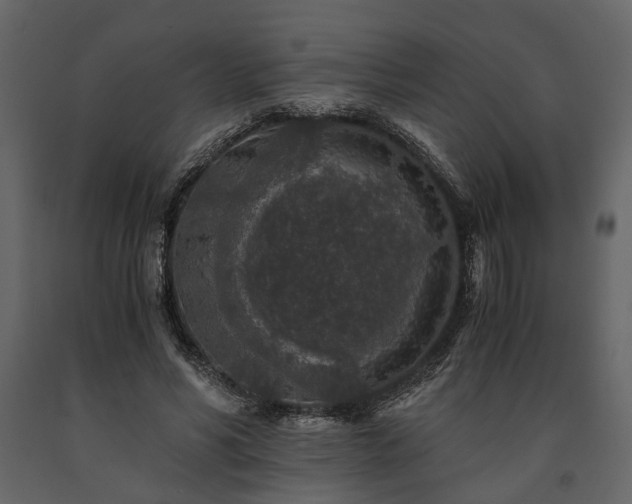 X0000091520590200708241652