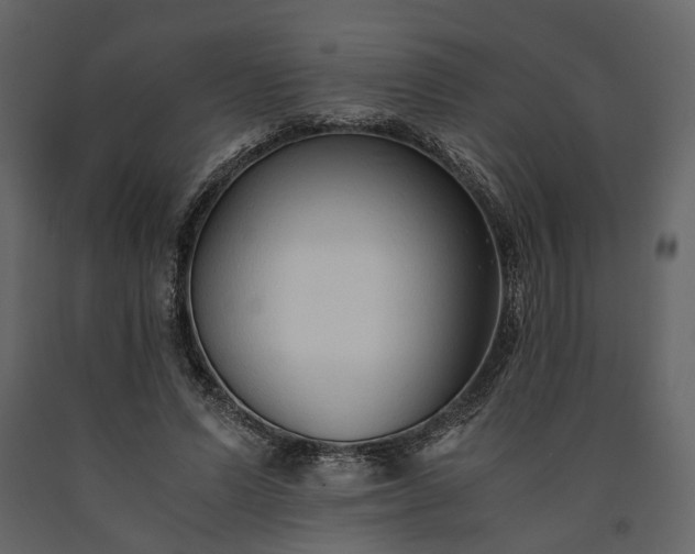 X0000091520591200708241652