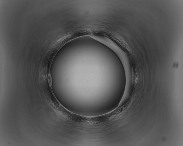 X0000091520593200708241651