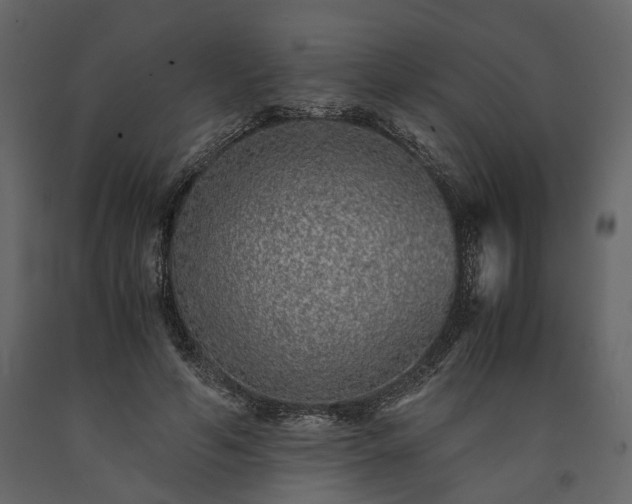X0000091520594200708241651