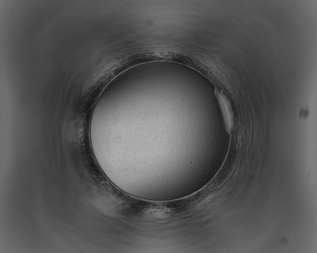 X0000091520595200708241651
