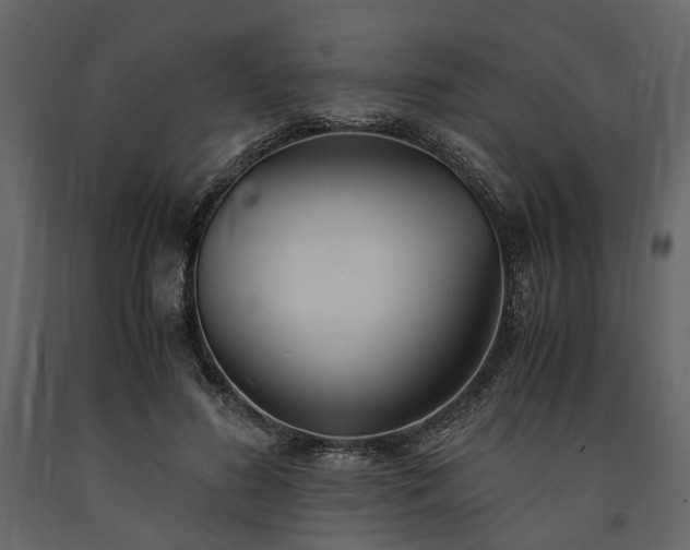 X0000091520596200708241651