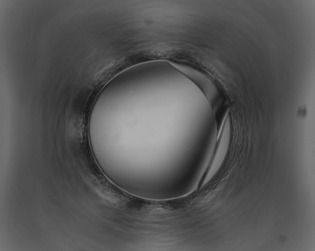 X0000091520597200708241651