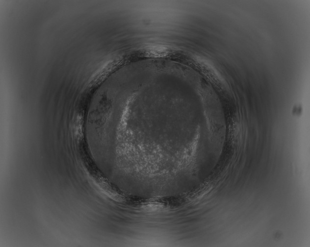 X0000091520598200708241651