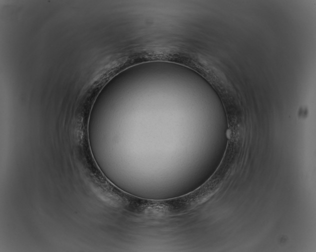X0000091520599200708241651