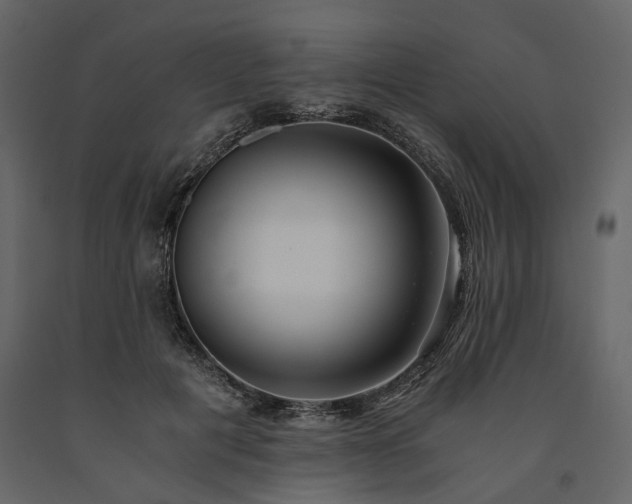 X0000091520601200708241651