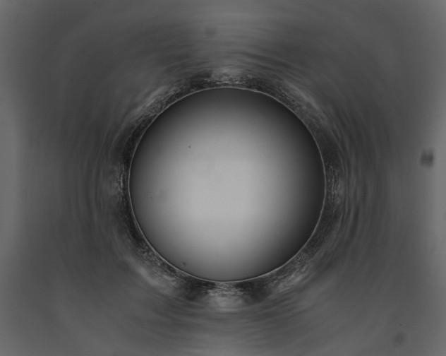 X0000091520603200708241651