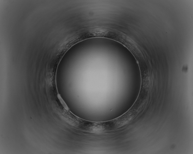 X0000091520604200708241651