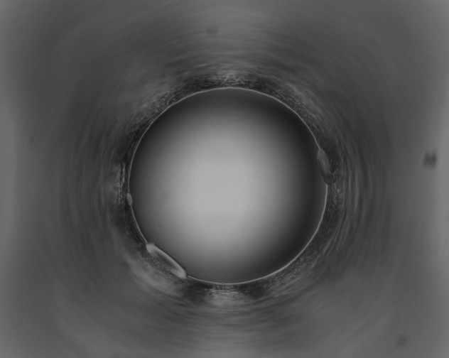 X0000091520605200708241651