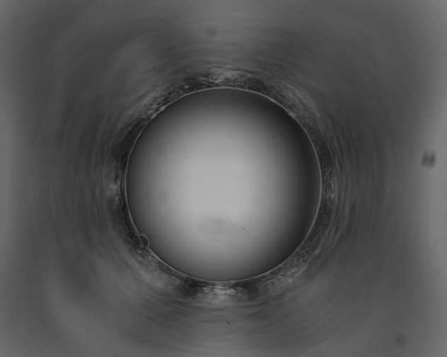X0000091520607200708241651