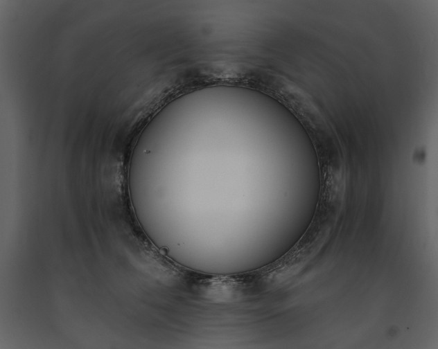 X0000091520612200708241651
