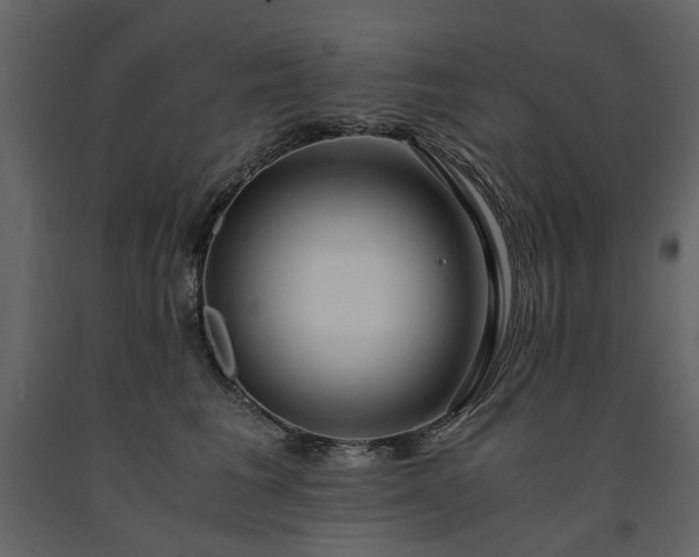 X0000091520613200708241651