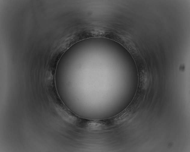 X0000091520614200708241651