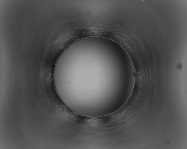X0000091520615200708241651