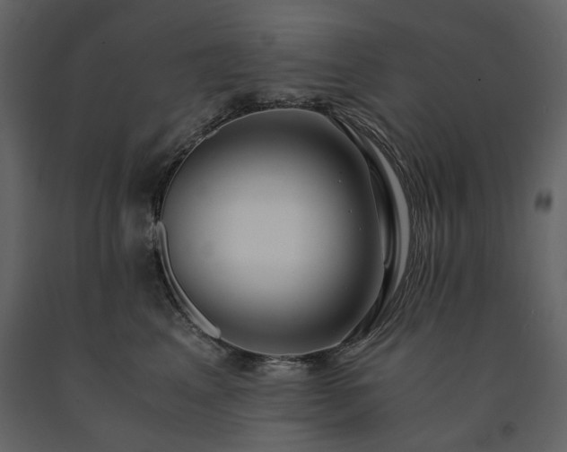 X0000091520617200708241651