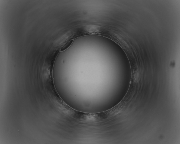 X0000091520618200708241651