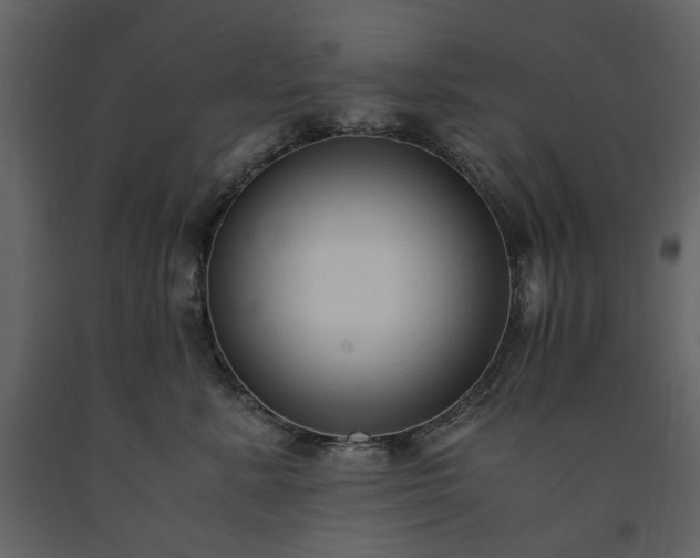 X0000091520619200708241651